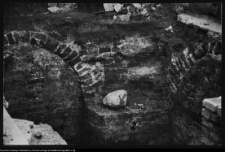 Białystok, Pałac Branickich