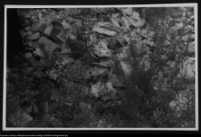 Białystok, Pałac Branickich