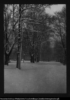 Białystok, Park Planty
