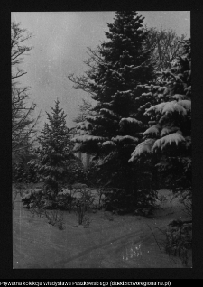 Białystok, Park Planty