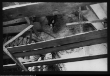 Łomża, katedra p.w. św. Michała Archanioła