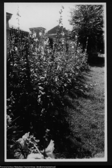 Łomża, katedra p.w. św. Michała Archanioła