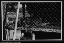 Łosośna, drewniany dw&oacute;r