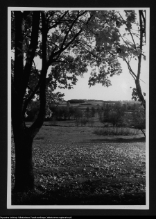 Łosośna, okolice dworu