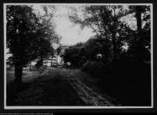 Łosośna, okolice dworu