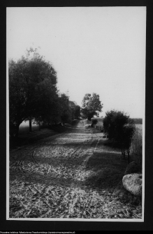 Łosośna, okolice dworu