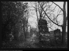 Łosośna, okolice dworu