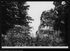 Łosośna, brama dworu