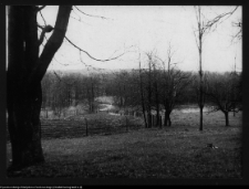 Łosośna, okolice dworu