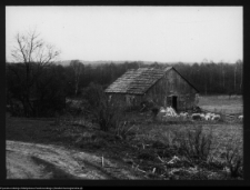 Łosośna, otoczenie dworu