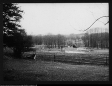 Łosośna, otoczenie dworu