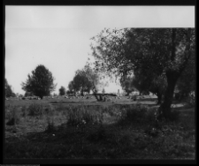 Tykocin, cmentarz żydowski