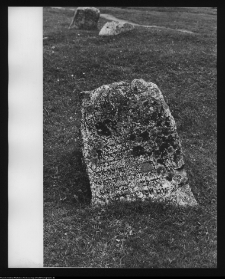 Tykocin, cmentarz żydowski