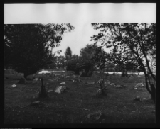 Tykocin, cmentarz żydowski