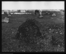 Tykocin, cmentarz żydowski