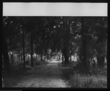 Tykocin, cmentarz katolicki