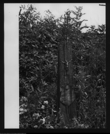 Tykocin, cmentarz katolicki