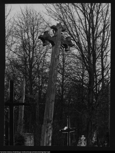 Krynki, cmentarz przykościelny