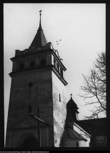 Łapy, kości&oacute;ł