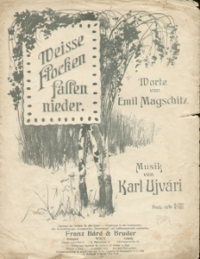 Weiße Flocken fallen nieder : Lied