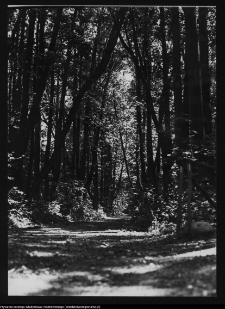 Dowspuda, park pałacowy