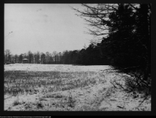 Dowspuda, park pałacowy