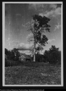 Rosochate Kościelne, chata wiejska