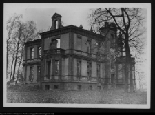 Pobikry, ruiny pałacu