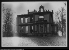 Pobikry, ruiny pałacu