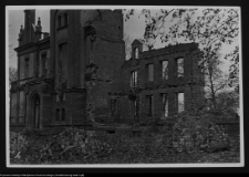 Pobikry, ruiny pałacu