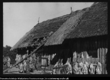 Pomiany, chata wiejska