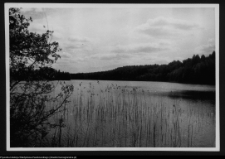 Dybowo, okolice grodziska