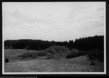 Dybowo, okolice grodziska