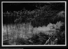 Dybowo, okolice grodziska