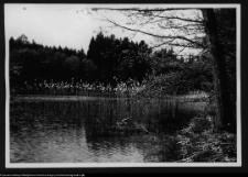 Dybowo, okolice grodziska