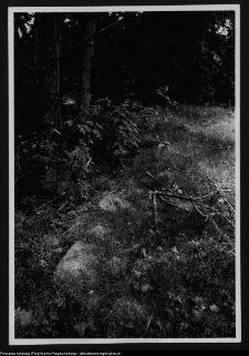 Dybowo, okolice grodziska