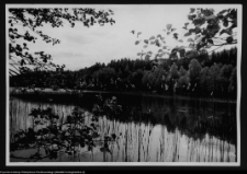 Dybowo, okolice grodziska