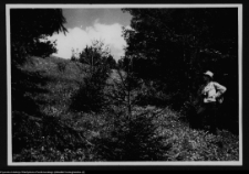 Dybowo, okolice grodziska