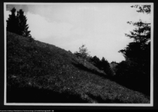 Dybowo, okolice grodziska