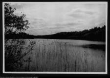 Dybowo, okolice grodziska