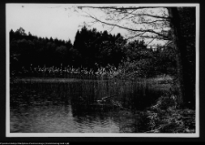 Dybowo, okolice grodziska