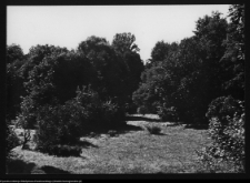 Drozdowo, park dworski