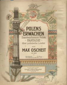 Polens erwachen = Zmartwychwstanie Polski : Fantasie über polnische Lieder, Op. 228 : Für Klavier