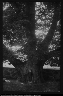 Dąbrówka Kościelna