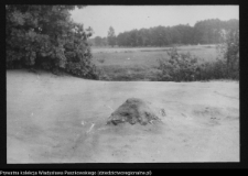 Dziarnowizna, stanowisko archeologiczne (pozostałości dymarek)