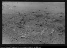 Dziarnowizna, stanowisko archeologiczne (pozostałości dymarek)