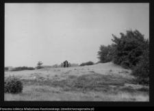 Dziarnowizna, stanowisko archeologiczne (pozostałości dymarek)