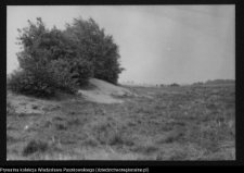 Dziarnowizna, stanowisko archeologiczne (pozostałości dymarek)