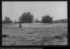 Dziarnowizna, stanowisko archeologiczne (pozostałości dymarek)