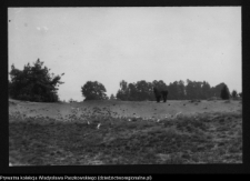 Dziarnowizna, stanowisko archeologiczne (pozostałości dymarek)